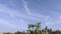 Lush green rice field and blue sky, In Asia 3 Royalty Free Stock Photo