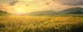 lush green rice fields, gently swaying in the breeze, under a clear blue sky dotted with fluffy white clouds. Royalty Free Stock Photo