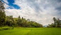 A lush green rice paddy on the island of samosir, Lake Toba, Sumatra, Indonesia Royalty Free Stock Photo