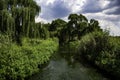 Lush green scene photographed in South Africa.