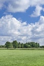 Lush green scenery with dramatic clouds, Netherlands Royalty Free Stock Photo