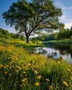 Idyllic Summer Landscape: River, Meadow, and Grand Tree Royalty Free Stock Photo