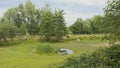 Meadow with pool surrounded by trees in the flemish countryside in Beernem Royalty Free Stock Photo