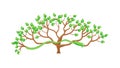 Lush Green Stylized Tree Vector Illustration, vector design Generative AI Royalty Free Stock Photo