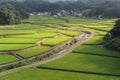 Lush green terrace rice paddies and fields in Akita prefecture, Tohoku region, northern Japan, Asia Royalty Free Stock Photo