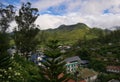 Lush green trees on the background of the Munnar town and rolling hills