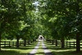 A Lush Green Tree Lined Driveway Reveals a Mansion at the End Royalty Free Stock Photo