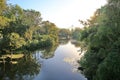 Lush green trees reflected in perfectly calm water