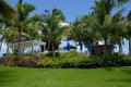 Lush Green Tropical Landscaping With Palm Trees Royalty Free Stock Photo