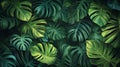 Lush Green Tropical Leaf Pattern with Deep Veins Royalty Free Stock Photo