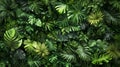 Lush Green Tropical Leaf Wall Background Texture Royalty Free Stock Photo