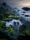 A lush green valley with palm trees in the fog created with Generative AI technology