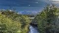 Lush green vegetation - bushes, grass grow on the banks of the stream. Royalty Free Stock Photo