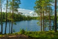 Lush green view from a small lake in a forest in Sweden Royalty Free Stock Photo