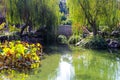 Lush green weeping willow trees hanging over a deep green lake in a Japanese garden with deep green lake water and a stone bridge Royalty Free Stock Photo