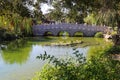 Lush green weeping willow trees hanging over a deep green lake in a Japanese garden with deep green lake water and a stone bridge Royalty Free Stock Photo