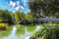 Lush green weeping willow trees hanging over a deep green lake in a Japanese garden with deep green lake water and a stone bridge Royalty Free Stock Photo