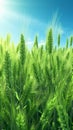 Lush green young tall grass sways in the 1690447259238 8 Royalty Free Stock Photo