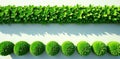 A lush greenery border and ornamental shrubs arranged in a symmetrical pattern on a light surface. Generative AI Royalty Free Stock Photo