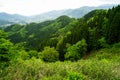Lush greenery mountain panorama, roadway and town view from afar