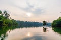 Lush greenery with Palm trees or Coconut trees and Backwater