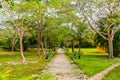 Lush Greenery and Pathway at Ik-Kil Cenote, Yucatan Royalty Free Stock Photo