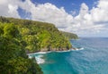 Lush Hana Coastline in Maui