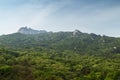 Lush hill at the Bukhansan National Park in Seoul