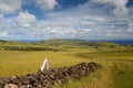 Lush Hills and Ocean View on Easter Island with Rustic Stone Wall Royalty Free Stock Photo