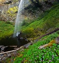 Lush Idyllic Rain Forest Waterfall Royalty Free Stock Photo