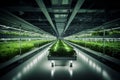 Lush indoor hydroponic vegetable farm in an exhibition space with LED lighting