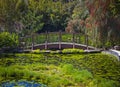 Lush Japanese garden featuring a green bridge