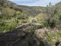 Lush landscape of Barranco de los Cernicalos with subtropical plants and cacti. Gran Canaria, Canary Islands, Spain