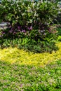 Lush landscaped garden with flowerbed