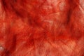 Lush lava red leather background closeup