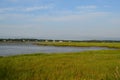 Lush Marsh Grass Bordering Duxbury Bay Royalty Free Stock Photo
