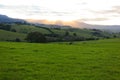 Lush green hills landscape in Australia at sunset Royalty Free Stock Photo