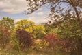 Lush multicolored autumn vegetation on the slopes of the mountain Park.Kislovodsk.