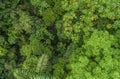 Lush mystical rainforest aerial drone view at La Fortuna Costa Rica jungle