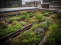 Lush office rooftop garden with seating