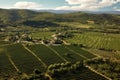 lush olive groves with nearby vineyards aerial view