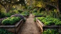 Lush organic vegetable garden with raised beds and pathway in sunlit forest Royalty Free Stock Photo