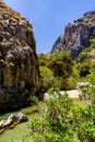 Lush palm forest and a small river leading to a sandy beach Preveli, Crete, Greece Royalty Free Stock Photo