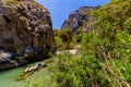 Lush palm forest and a small river leading to a sandy beach Preveli, Crete, Greece Royalty Free Stock Photo