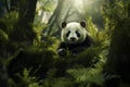 Lush Panda tree giant forest. Generate Ai Royalty Free Stock Photo