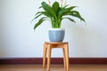 lush peace lily in a ceramic pot on a stool
