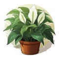 Lush Peace Lily Plant in a Terracotta Pot Illustration.