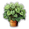 Lush Potted Plant with Variegated Green Leaves in a Two-Tone Pot