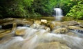 Lush Rain Forest Waterfall Royalty Free Stock Photo