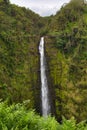 Lush rainforest waterfallPapakolea on the big islandHawaii.